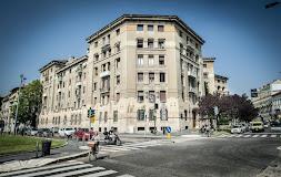 FORESTERIA LOMBARDA MARGHERITA