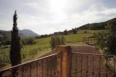 Podere Pradarolo