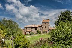 IL PULICARO