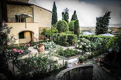 PODERE LE MONACHE