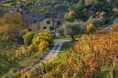 Podere Villa Alessi Di Giacomin Ivano & C.