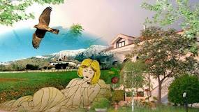 Bed & Breakfast Pezzo della Noce