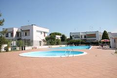 Agenzia Vear Hausing