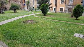 La Lupa In Trastevere | Bed and Breakfast a Roma