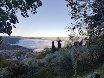 AZIENDA AGRICOLA SAN MATERNO