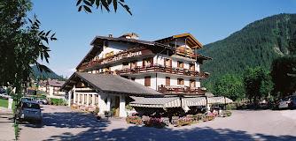 ALBERGO HOTEL STELLA ALPINA