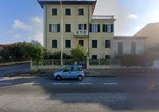 Aristea