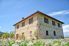 PODERE MOLINACCIO