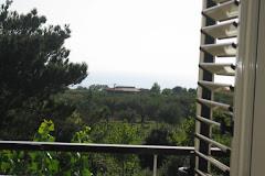 LA CAMPAGNOLA