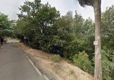 Tenuta San Michele