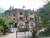 Stella Alpina