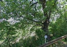 La Poderina Alle Tolfe