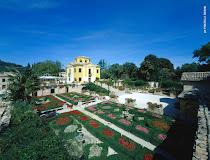 VILLA COLLIO SOCIETA' COOPERATIVA