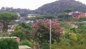 Villa Cristina