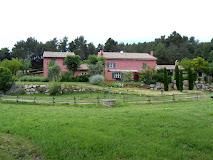 LE PELLICCE