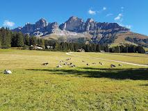 ANGERLE ALM