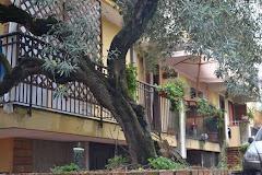 La meridiana