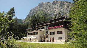 Regina Delle Dolomiti