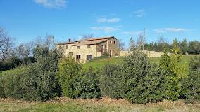 Il Selvatico