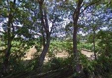 AZIENDA AGRICOLA I TERZI