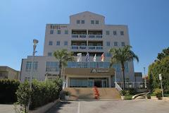 Torre del Sud
