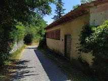 Vecciano