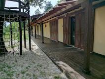 LA FORESTA DI FONTESPUGNA