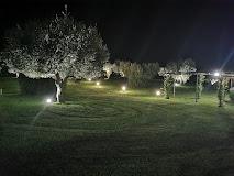 Il Casale Degli Olivi