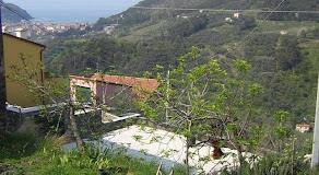 Zia Mari