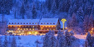 HOTEL IL CERVO SRL