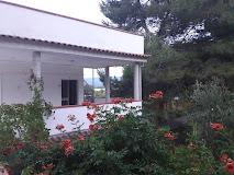 VILLAGGIO TURISTICO VIOLA