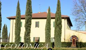 CASAURORA