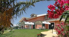 Alficodindia