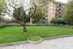 RELAX NEL VERDE