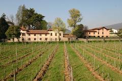 AZ. AGR RICCI CURBASTRO