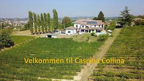 CASCINA COLLINA