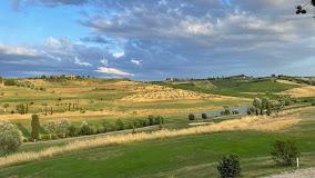 Fattoria Bellosguardo