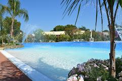 Alessidamo Club