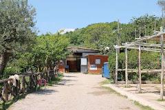 AGRITURISMO PICCOLO PARADISO 