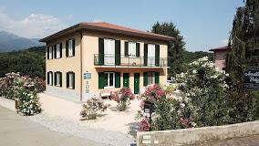 FORESTERIA AMATA VALGRE