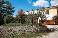 AGRITURISMO IL PIASTRINO