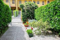 Il Glicine Fiorito