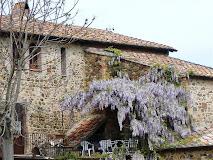 Detti Irene - Podere Santo Stefano