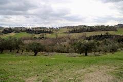 Piccolo Podere Antichi Grani