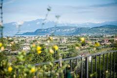 Azienda Agricola Ed Agrituristica Il Grappolo