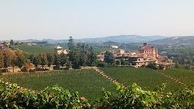 Azienda Agricola Cagliero