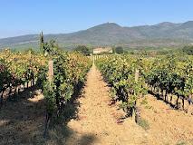 CASTELLO DI COLLEMASSARI - PECORA VECCHIA
