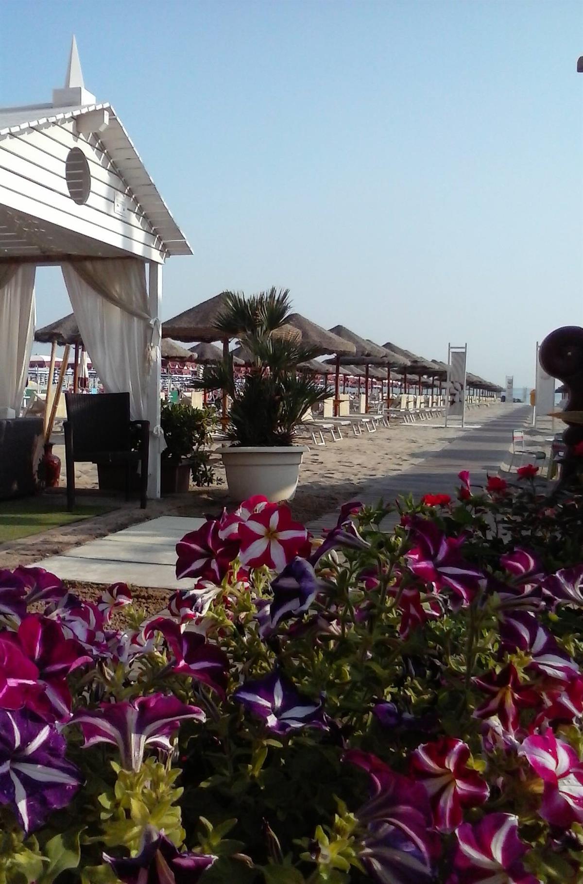 Zen Beach