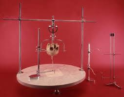 Museo di Antropologia Giuseppe Sergi