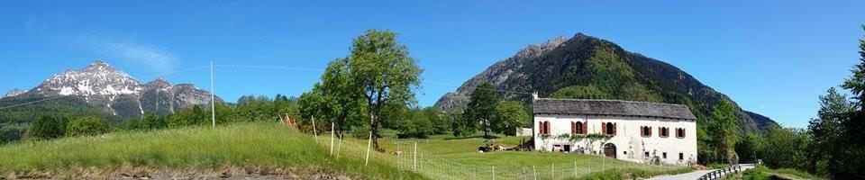 Azienda Agricola FattoriAMO